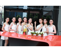 商务礼仪与文化艺术咨询服务的交融与价值